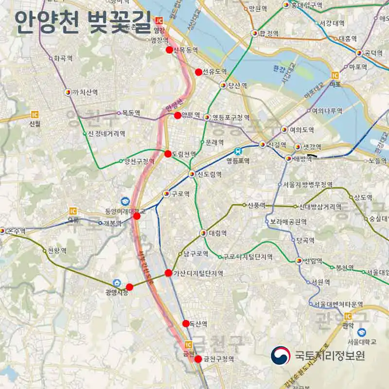 안양천 벚꽃길 전구간 지도 (출처 - 국토지리정보원)