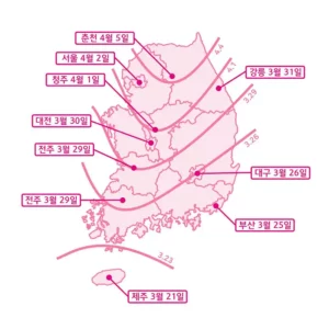 Read more about the article 2024년 벚꽃 개화시기 및 만개시기 정리