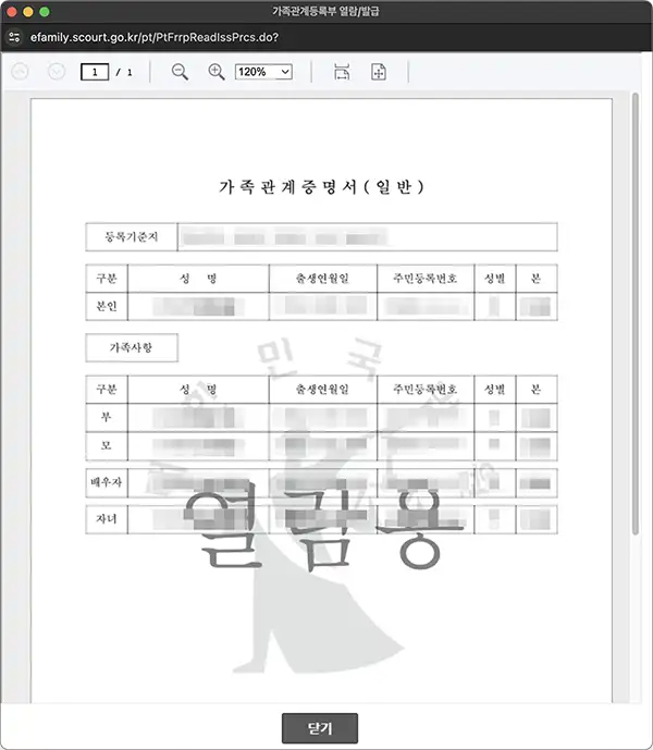 화면 열람으로 발급받은 예시