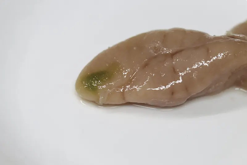 초록색 얼룩이 있는 명란젓